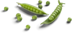 beans